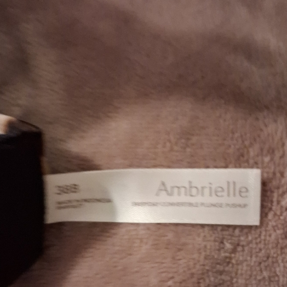 Ambrielle Leopard Print Bra with Black Straps - Picture 5 of 6